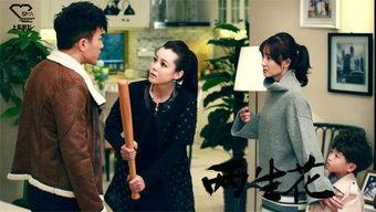 电视剧两生花在线观看全集,穿越时空的爱恋，全集剧情揭秘  第1张